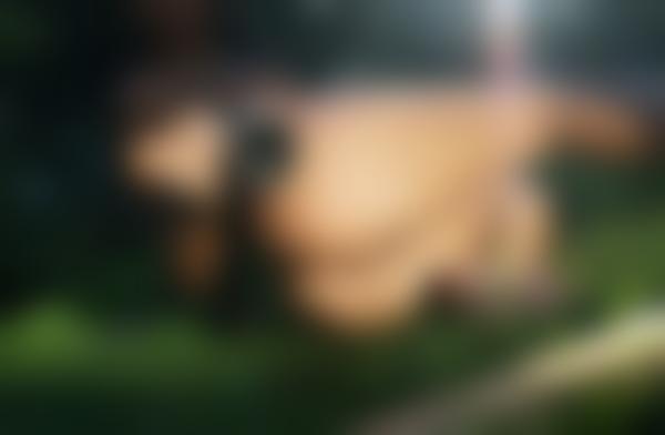 Nanasles, uma lésbica solteira para um encontro sexual selvagem em Curitiba